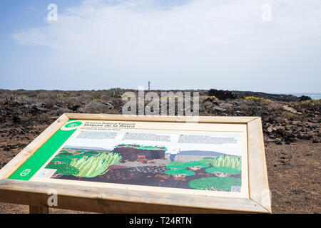 Signe de l'information multilingue dans le Malpais de la Rasca, Palm Mar, Tenerife, Canaries, Espagne Banque D'Images