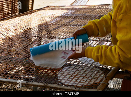 Battambang, Cambodge. Une femme pose les plats préparés, et encore humide, papier de riz sur un cadre pour sécher. 10-12-2018 Banque D'Images