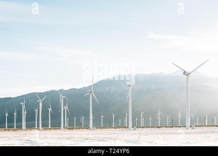 Les moulins à vent à la ferme éolienne de San Gorgonio Pass à Palm Springs, Californie Banque D'Images