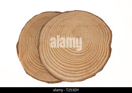 Deux souches de bois l'un un autre isolé sur le fond blanc. Couper ronde arbre avec anneaux annuels comme une texture bois. Banque D'Images