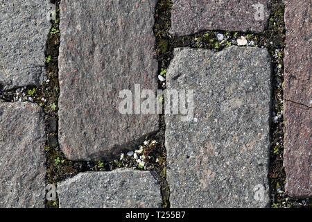 Beau marbre faite avec du gris et rose clair en forme de carreaux de pierres. C'est à l'extérieur et il y a peu de plantes vertes et de fleurs. Banque D'Images