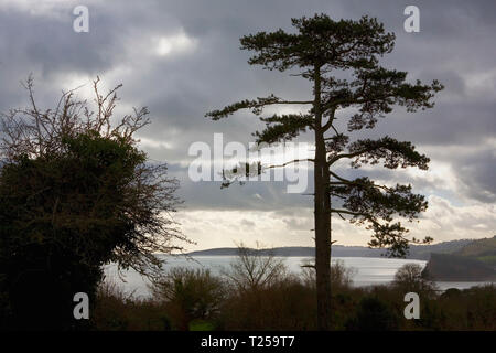 Parc Eastcliff, Teignmouth, Devon, UK, sur un après-midi d'hiver Banque D'Images