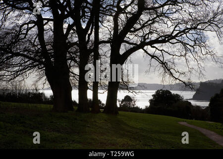 En contre-jour tourné de Tor Bay de Eastcliff Park, Teignmouth, Devon, UK Banque D'Images