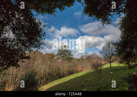 Parc Eastcliff, Teignmouth, Devon sur un jour d'hiver ensoleillé Banque D'Images