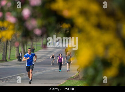 Un coureur en Le Parc de Greenwich, Londres, comme les gens profiter d'une journée de beau temps. Banque D'Images