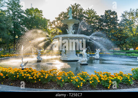 Fontaine dans Forsyth Park à Savannah, Géorgie Banque D'Images