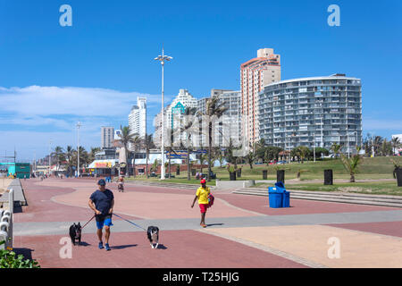 Les bâtiments de grande hauteur en bord de plage du nord, Marine Parade, Durban, KwaZulu-Natal, Afrique du Sud Banque D'Images