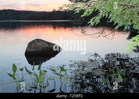 Rock et des plantes dans le lac au coucher du soleil Banque D'Images
