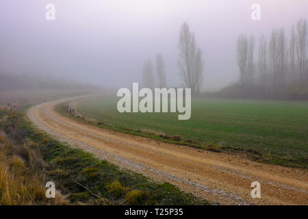 Chemin rural dans le brouillard. Banque D'Images