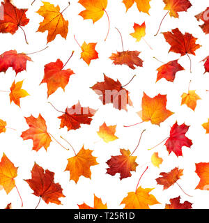 Profil de transparente orange automne naturel laisse tomber isolé sur fond blanc pour imprimer Banque D'Images