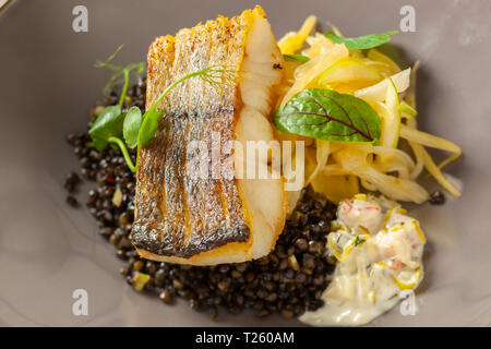 Le merlu marinés dans l'huile de citron avec lentilles noir avec du chili et le céleri, sauce écrevisses Banque D'Images