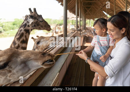 Asian cute baby girl se nourrissant de votre main pour la grande girafe animal farm, été vacances voyages, vie de famille le concept de style. Banque D'Images