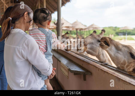 Asian cute baby girl se nourrissant de votre main pour la grande girafe animal farm, été vacances voyages, vie de famille le concept de style. Banque D'Images