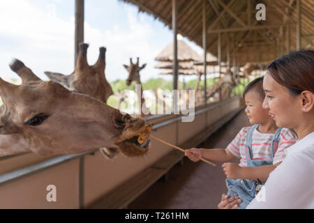 Asian cute baby girl se nourrissant de votre main pour la grande girafe animal farm, été vacances voyages, vie de famille le concept de style. Banque D'Images