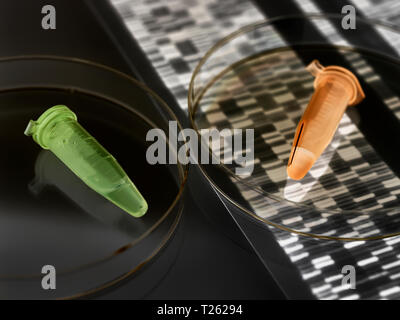 Les flacons contenant un Eppendorf échantillon humain avec l'ADN autoradiogram résultats Banque D'Images