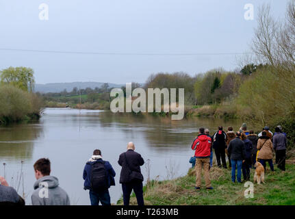 L'alésage du bras Severn à Minsterworth Gloucestershire UK Banque D'Images