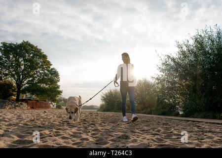 Allemagne, Hambourg, woman walking with dog on beach à la rive de l'Elbe Banque D'Images