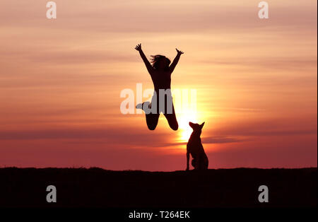 Silhouettes Girl and dog au coucher du soleil, Berger Belge Malinois, race, coucher du soleil incroyable athletic girl jumping, le chien regarde le jumping girl Banque D'Images