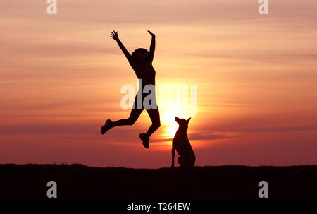 Silhouettes Girl and dog au coucher du soleil, Berger Belge Malinois, race, coucher du soleil incroyable athletic girl jumping, le chien regarde le jumping girl Banque D'Images