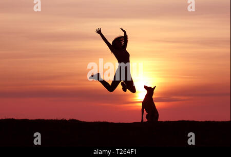 Silhouettes Girl and dog au coucher du soleil, Berger Belge Malinois, race, coucher du soleil incroyable athletic girl jumping, le chien regarde le jumping girl Banque D'Images