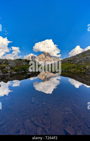 Italie, Vénétie, Dolomites, montagnes de Fiemme, Cimon della Pala, reflétée dans un petit lac Banque D'Images