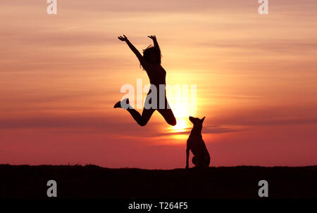 Silhouettes Girl and dog au coucher du soleil, Berger Belge Malinois, race, coucher du soleil incroyable athletic girl jumping, le chien regarde le jumping girl Banque D'Images