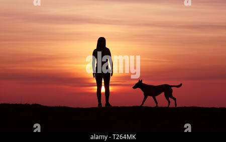 La fille et le chien au coucher du soleil, le Berger Belge Malinois race, un incroyable coucher du soleil, l'amitié et de relations, une fille sportive Banque D'Images