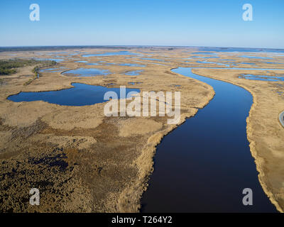 USA, Maryland, Cambridge, Blackwater National Wildlife Refuge, Blackwater River, Blackwater Refuge connaît une hausse du niveau de la mer qu'est l'inondation thi Banque D'Images