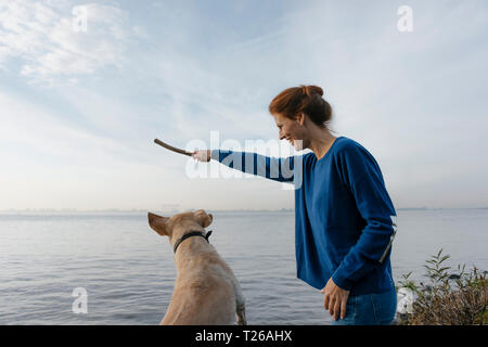 Allemagne, Hambourg, happy woman Playing with dog sur la plage au bord de l'Elbe Banque D'Images