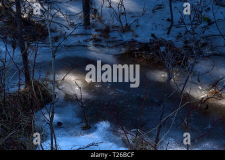 Les flaques de glace au début du printemps en C.-B., Canada Banque D'Images