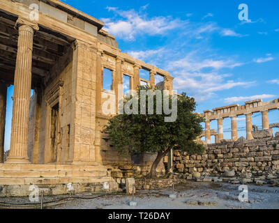 Portique de temple de Poséidon, partie d'Erechtheion, sacré olivier, murs de temple d'Athéna Polias sur l'Acropole, Athènes, Grèce contre le ciel bleu Banque D'Images