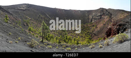Panorama du volcan San Antonio (La Palma, Îles Canaries) Banque D'Images