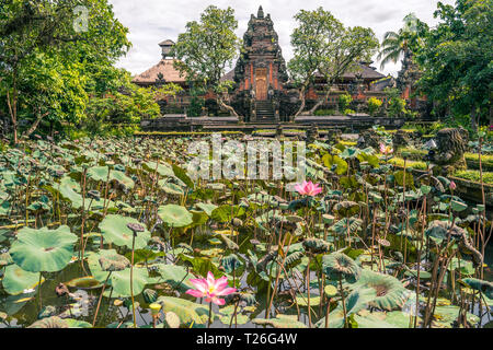 Jardin de fleurs de fleurs de lotus sacré en face de Lotus (Saraswati) Temple à Ubud, Bali Banque D'Images