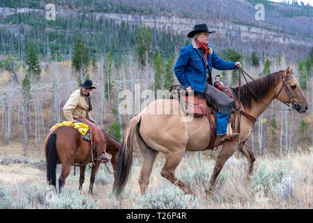 American cowboys équitation dans le haut pays du Wyoming, USA Banque D'Images