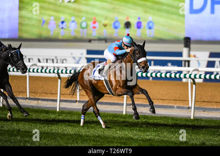 Dubaï, Émirats arabes unis. 30 mars 2019. Almond Eye monté par Christophe Lemaire remporte le gazon de Dubaï sur la Dubai World Cup 2019 nuit. Le cheval est formé par Sakae formateur japonais Kunieda Crédit : Feroz Khan/Alamy Live News Banque D'Images