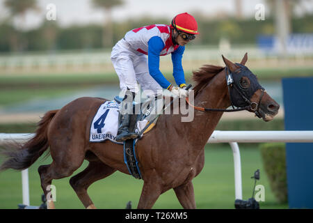 Dubaï, USA. 30Th Mar, 2019. Meydān, EMIRATS ARABES UNIS ''" 30 mars : plus que parfait, monté par Jose Ortiz remporte le groupe 1 UAE Derby sur Dubai World Cup nuit à l'Hippodrome de Meydan à Dubaï. Michael McInally Sportswire/Eclipse/CSM/Alamy Live News Banque D'Images