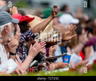 Hallandale Beach, Floride, USA. 30Th Mar, 2019. HALLANDALE, Floride - 30 mars : Scènes de autour de la piste sur la Floride Derby Day à Gulfstream Park Race Track à Hallandale Beach, Floride. Scott Serio/Eclipse Sportswire/CSM/Alamy Live News Banque D'Images