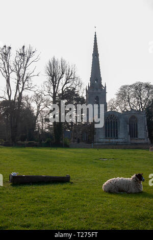 Le Lincolnshire, au Royaume-Uni. 30 mars 2019. Les agneaux se reposant dans leur mangeoire dans le Lincolnshire village d'Uffington. Jonathan Clarke/Alamy Live News Banque D'Images