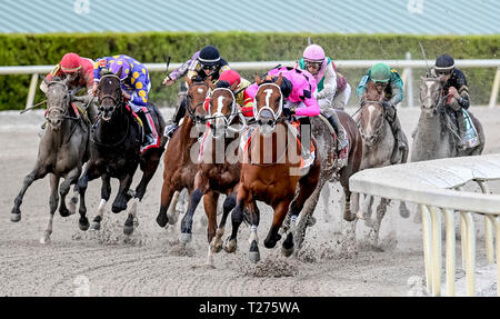 Hallandale Beach, Floride, USA. 30Th Mar, 2019. HALLANDALE, Floride - 30 mars : Maximum Security # 7 (Black Cap), monté par Luis Saez, remporte le Derby de la Floride La Floride sur Derby Day à Gulfstream Park Race Track à Hallandale Beach, Floride. Scott Serio/Eclipse Sportswire/CSM/Alamy Live News Banque D'Images