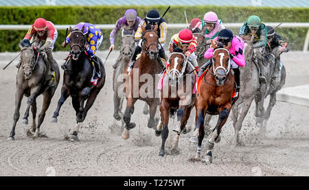 Hallandale Beach, Floride, USA. 30Th Mar, 2019. HALLANDALE, Floride - 30 mars : Maximum Security # 7 (Black Cap), monté par Luis Saez, remporte le Derby de la Floride La Floride sur Derby Day à Gulfstream Park Race Track à Hallandale Beach, Floride. Scott Serio/Eclipse Sportswire/CSM/Alamy Live News Banque D'Images