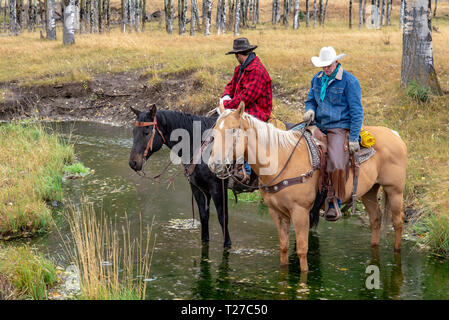 American cowboys équitation dans le haut pays du Wyoming, USA Banque D'Images
