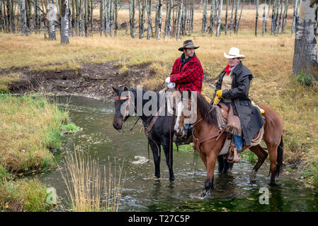 American cowboys équitation dans le haut pays du Wyoming, USA Banque D'Images
