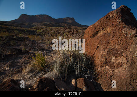 Le Parc Naturel de Canon de Santa Elena, MPO. Ocampo, Coahuila, Mexique Banque D'Images