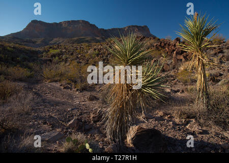 Le Parc Naturel de Canon de Santa Elena, MPO. Ocampo, Coahuila, Mexique Banque D'Images