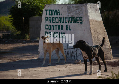 Alamos de Marquez, MPO. Ocampo, Coahuila, Mexique Banque D'Images