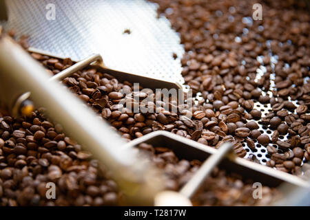 Vue latérale des matières grains de café dans la machine torréfacteur Banque D'Images