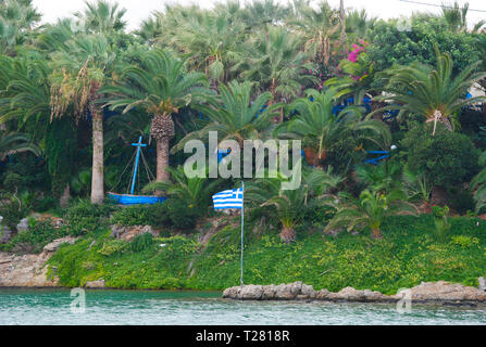 L'herbe de Sisi Palm Bay sur l'île méditerranéenne de la Crète en Grèce Banque D'Images