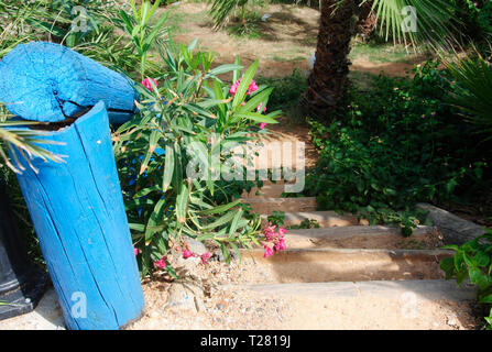 L'herbe de Sisi Palm Bay sur l'île méditerranéenne de la Crète en Grèce Banque D'Images