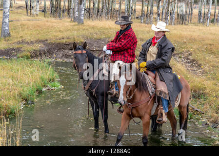 American cowboys équitation dans le haut pays du Wyoming, USA Banque D'Images