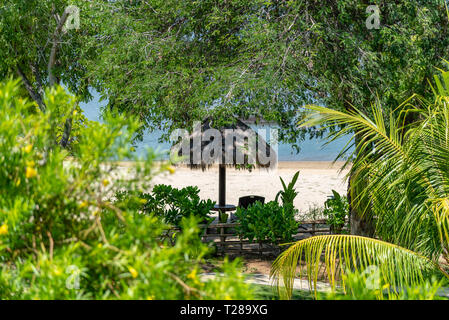 La hutte au toit de chaume traditionnel de Bali. Benoa, Bali / Indonésie Banque D'Images